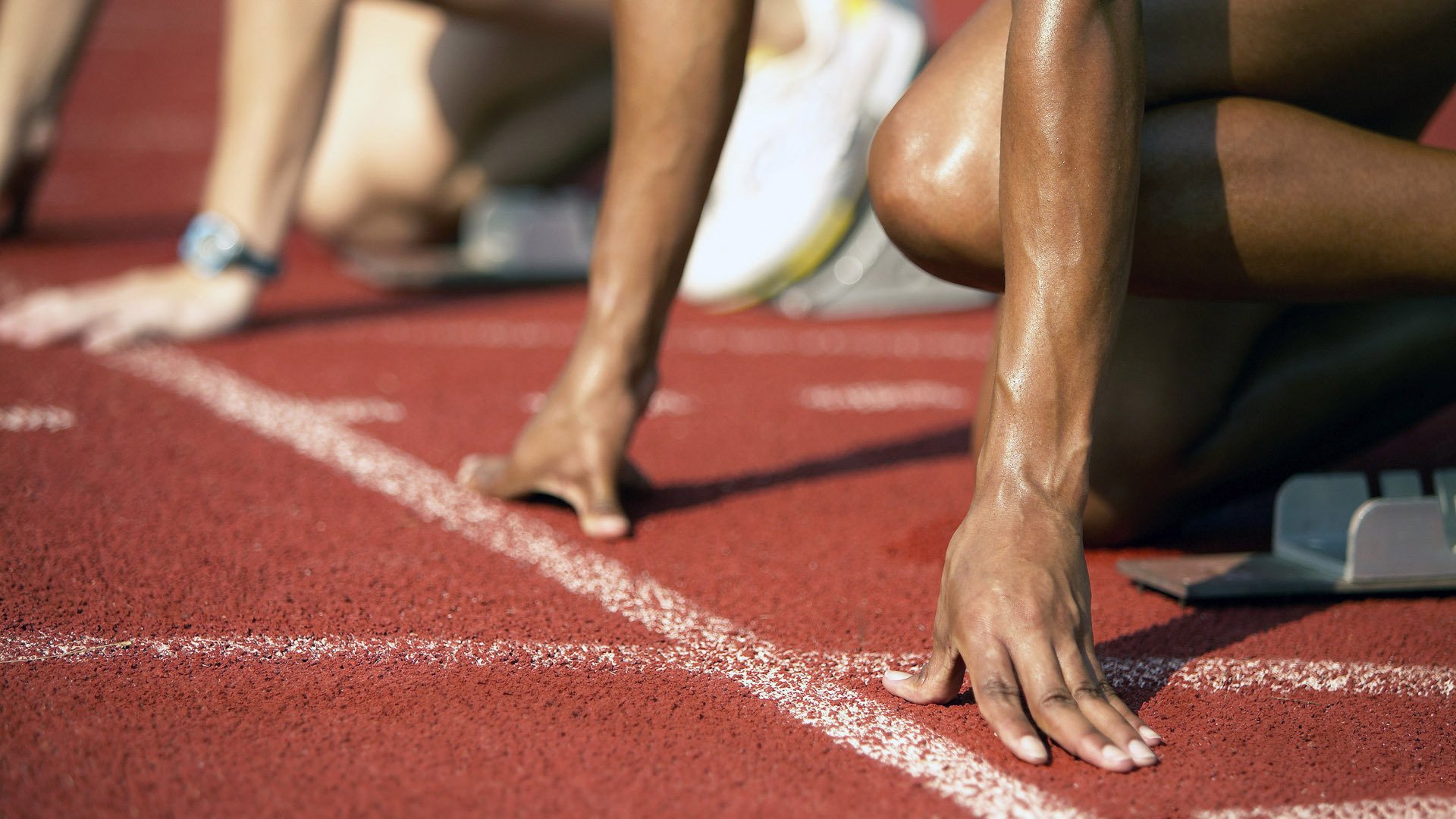 开云体育官网上-体育文化交流活动丰富多彩，体育交流活动简讯